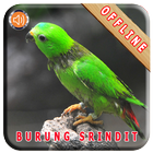 Master Kicau Burung Serindit Zeichen