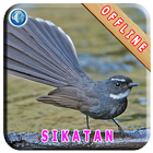 Master Kicau Burung Sikatan ícone