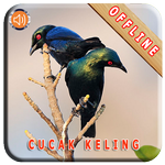 Master Kicau Cucak Keling APK