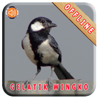 Master Kicau Gelatik Wingko icon