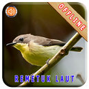 Master Kicau Remetuk Laut APK