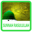 500 Sunnah Rasulullah