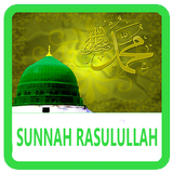 500 Sunnah Rasulullah icône