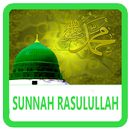 500 Sunnah Rasulullah APK