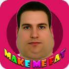 Make Me Fat icône