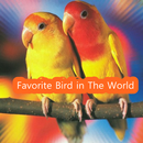 Favorite Bird In The World APK