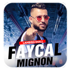 Aghani Faycal Mignon sans net icône