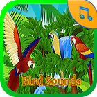 Bird Sounds Ringtone أيقونة