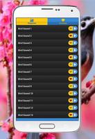 Bird Sounds Ringtone โปสเตอร์
