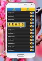 Bird Sounds Ringtone syot layar 3