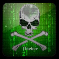 hack account simulator Affiche