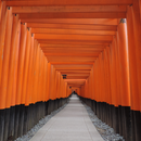 Japan:Fushimi Inari Taisha APK