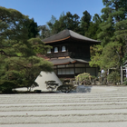 Japan:Kyoto Ginkaku-ji Temple icône