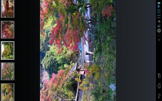 Autumn leaves of Kamakura screenshot 1