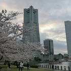 apan:Yokohama Minato Mirai icône