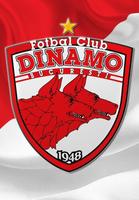 FC Dinamo Bucuresti Oficial Plakat