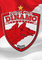 FC Dinamo Bucharest Official 포스터