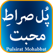 Pulsirat Mohabbat