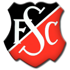 FCSulingen icon