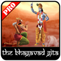 The Bhagavad Gita Pro