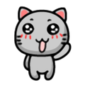 Cuty Gray Cat