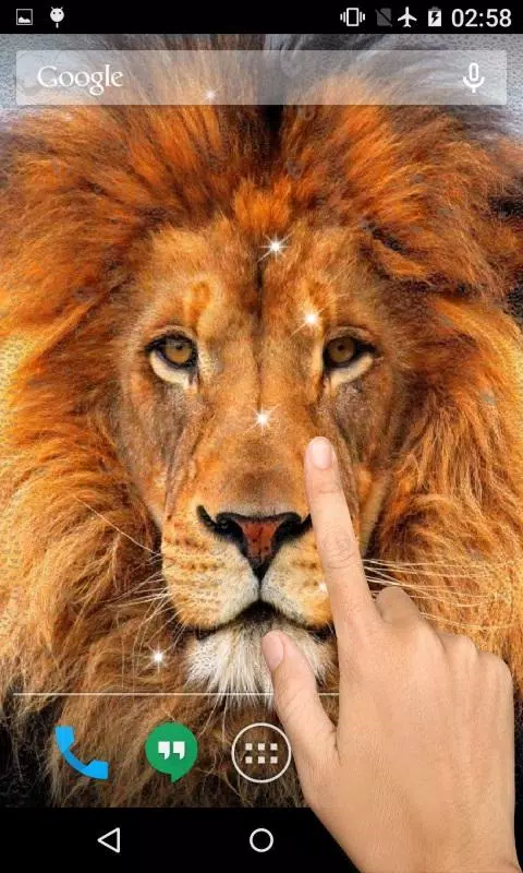 Lions Live HD Wallpaper APK for Android Download Lions Live HD Wallpaper APK for Android Download