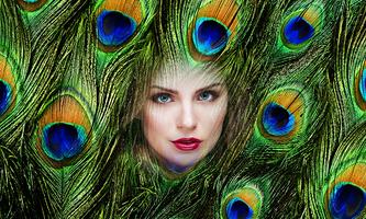 Peacock Feather Photo Frame HD Affiche