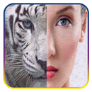 Animal Face Editor App APK