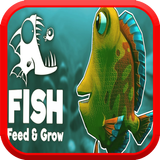 Feed The fish & Grow