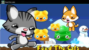 Feed the cats Affiche
