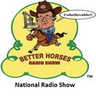 Better Horses Radio - National icône