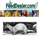Ferret Breeding Calculcator aplikacja
