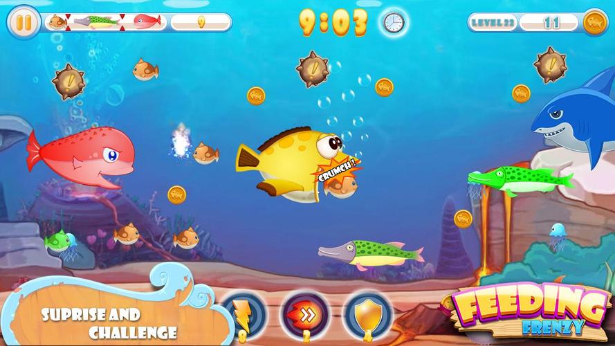 Feeding Frenzy Last Level