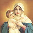 Virgin Mary New HD Wallpapers APK