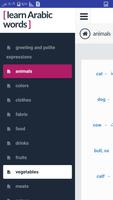 Poster learn Arabic words