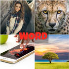 4 Photos 1 Word ~ ULTIMATE Word Quiz icon