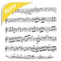 How To Play a Trumpet 2018