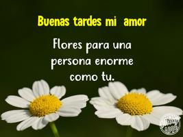 Feliz Tarde Mi Amor, Frases de captura de pantalla 2