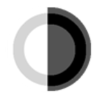 Black Moon icon