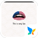 USA Fan 91 Launcher Theme APK