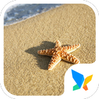 Starfish in the sun icono