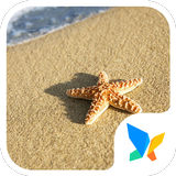 Starfish in the sun أيقونة