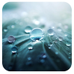 Rain IV 91 Launcher Theme