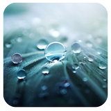 Rain IV 91 Launcher Theme Zeichen
