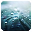 Rain IV 91 Launcher Theme APK