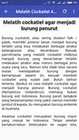 Tips Merawat Burung Cockatiel ảnh chụp màn hình 3