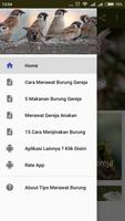 Tips Merawat Burung Gereja bài đăng