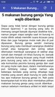 Tips Merawat Burung Gereja ảnh chụp màn hình 2