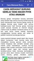 Tips Merawat Burung Gereja ảnh chụp màn hình 3