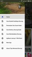 Tips Merawat Burung Ruak-Ruak bài đăng